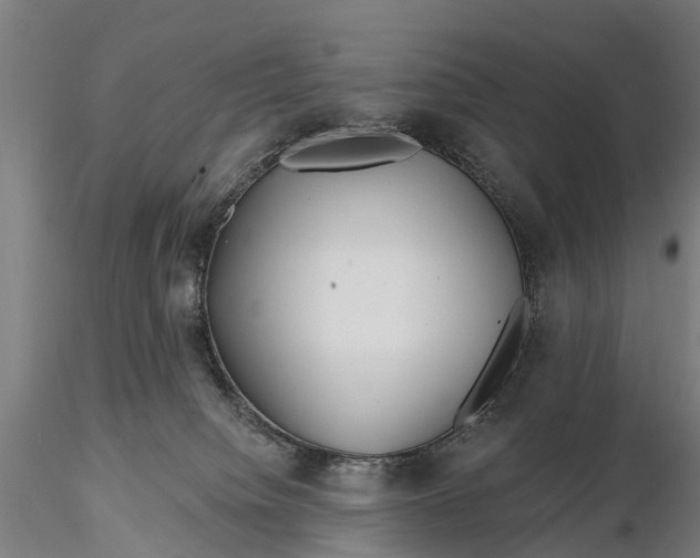 X0000115690084200912031452