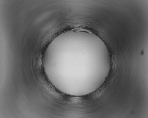 X0000115690085200912031452