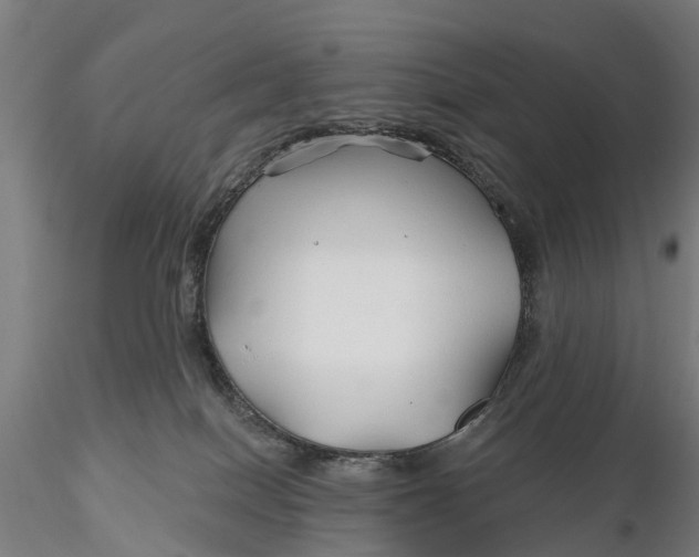 X0000115690086200912031452