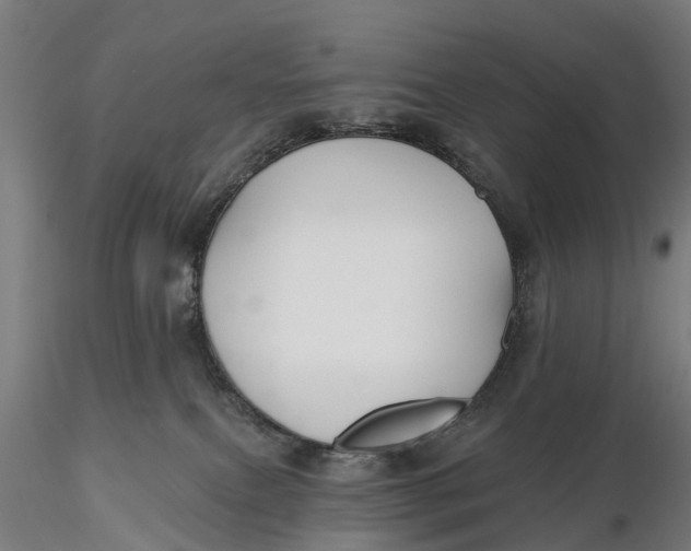 X0000115690087200912031452