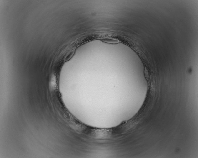 X0000115690089200912031452