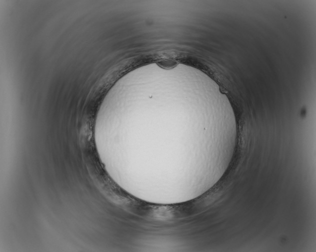 X0000115690091200912031452