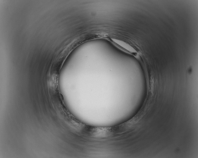 X0000115690093200912031452