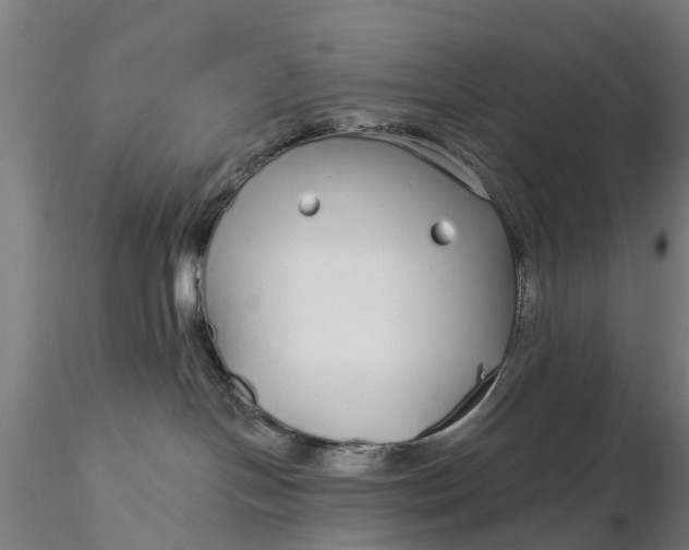 X0000115690094200912031452