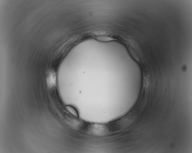 X0000115690095200912031452