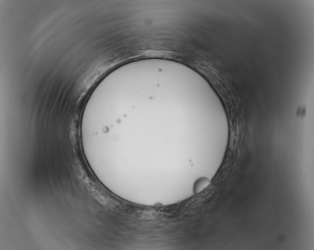 X0000115690098200912031452