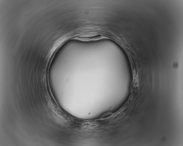 X0000115690099200912031452