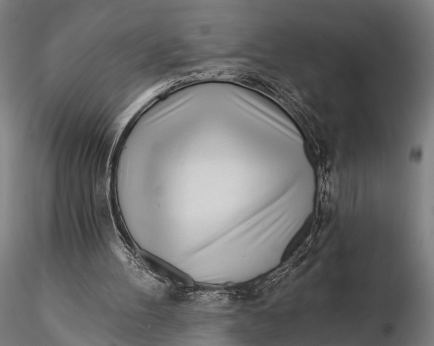 X0000115690100200912031452