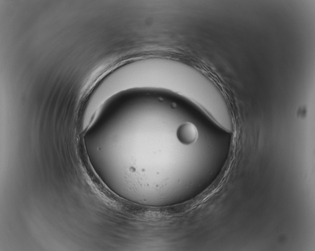 X0000115690101200912031452