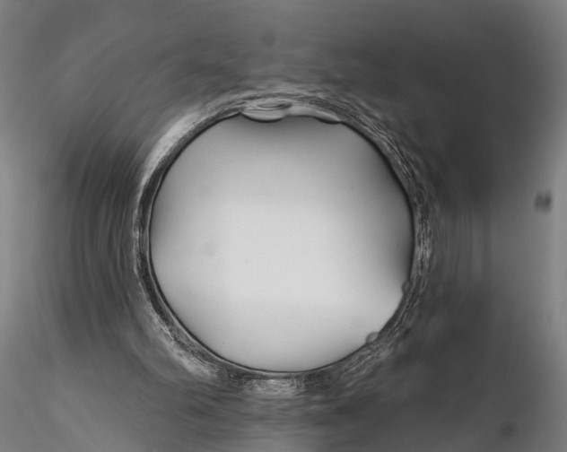 X0000115690102200912031452