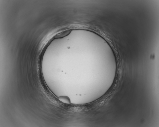 X0000115690103200912031451