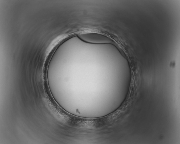 X0000115690104200912031451