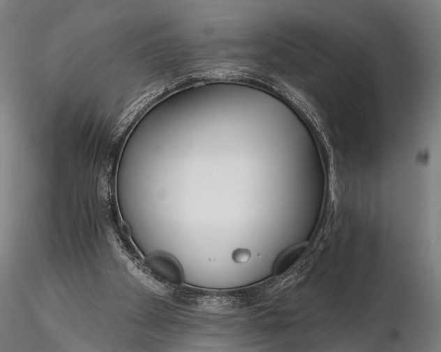 X0000115690105200912031451