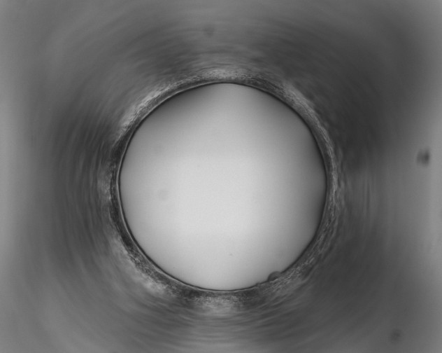 X0000115690106200912031451