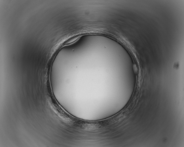 X0000115690107200912031451