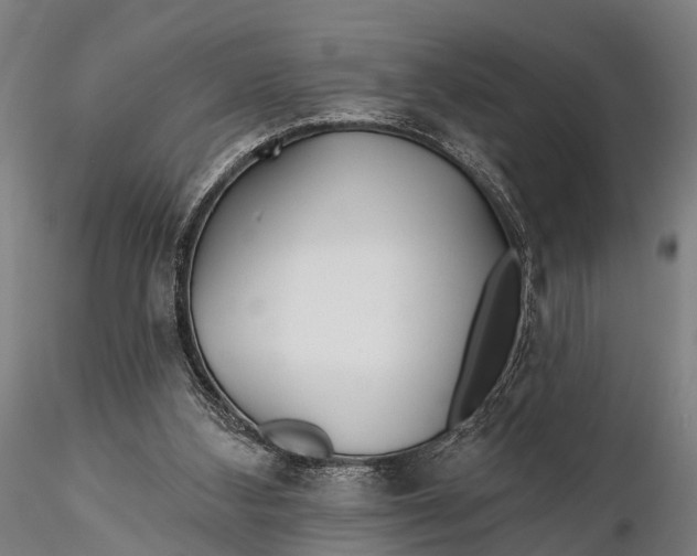 X0000115690108200912031451