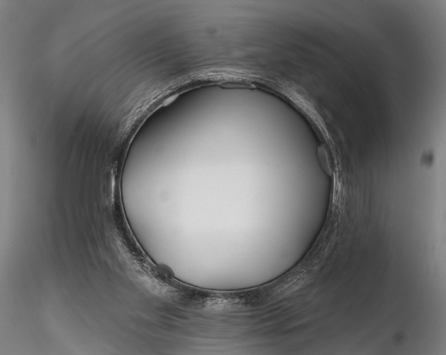 X0000115690109200912031451