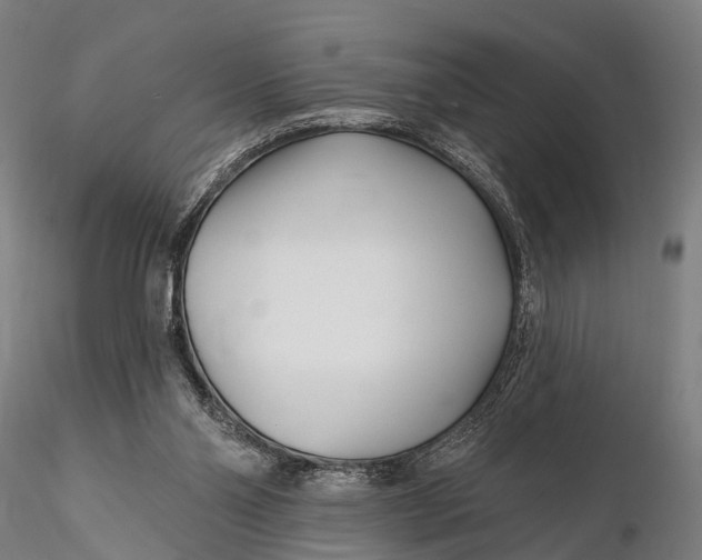 X0000115690110200912031451