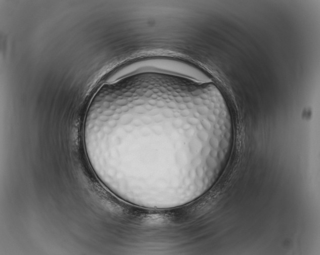 X0000115690111200912031451