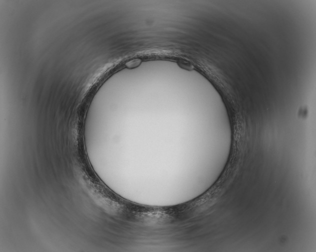 X0000115690112200912031451