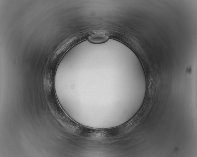 X0000115690116200912031451