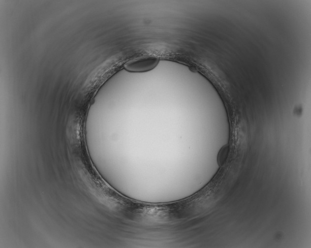 X0000115690117200912031451