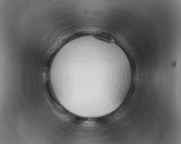 X0000115690119200912031451