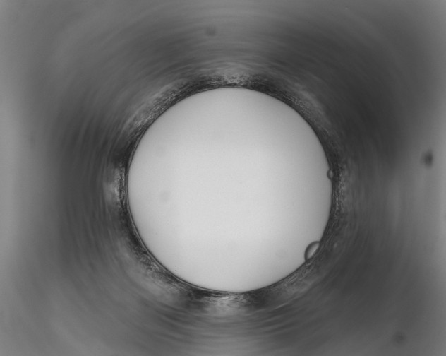 X0000115690122200912031451