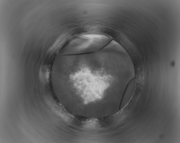 X0000115690124200912031451