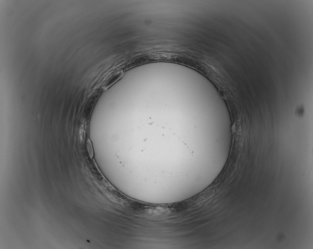 X0000115690125200912031451