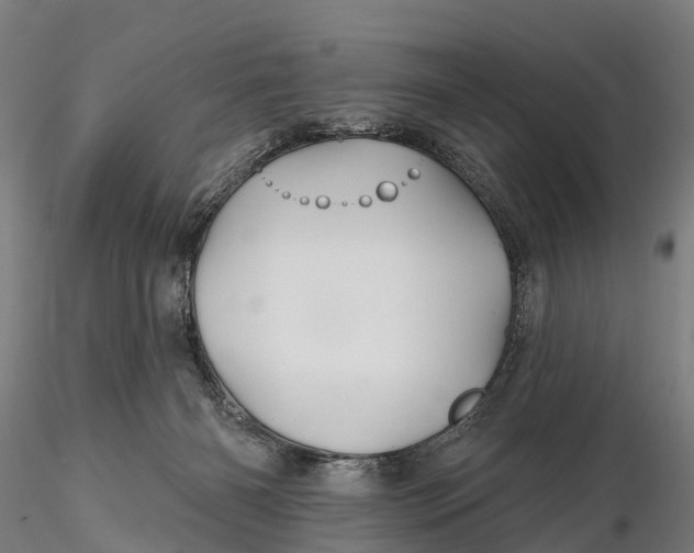 X0000115690126200912031451