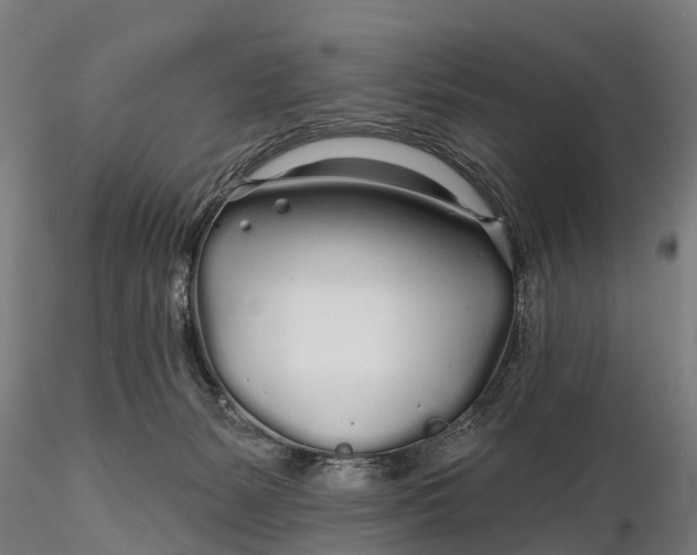 X0000115690127200912031451