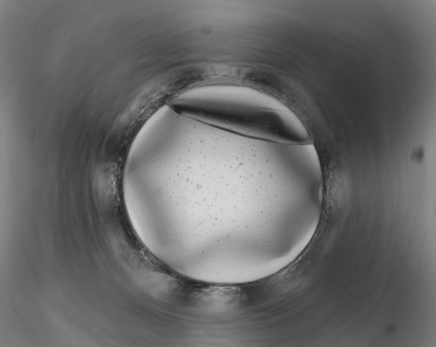 X0000115690128200912031451