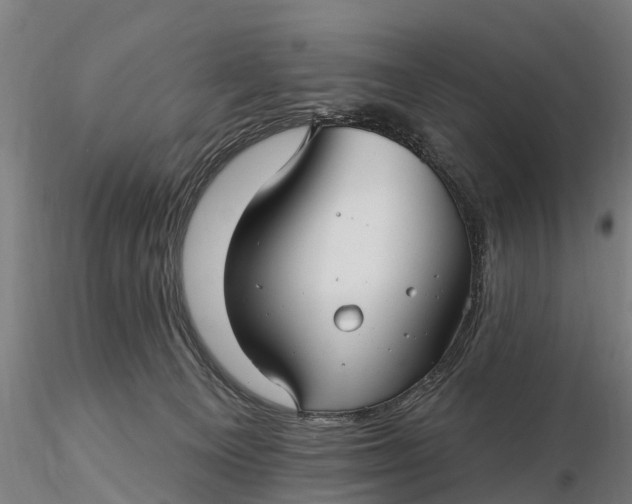 X0000115690129200912031451