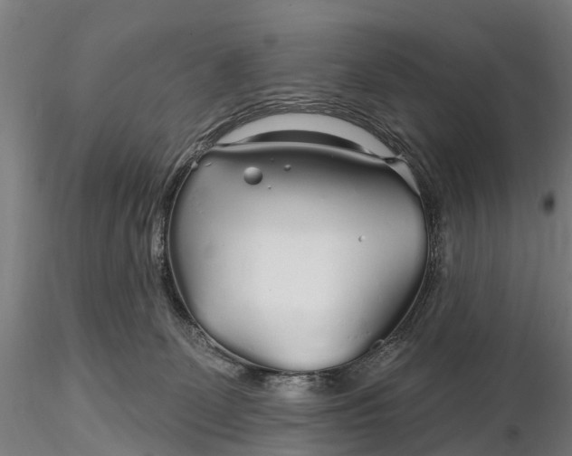 X0000115690131200912031451