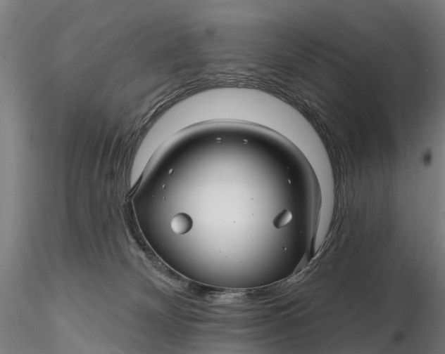 X0000115690132200912031451