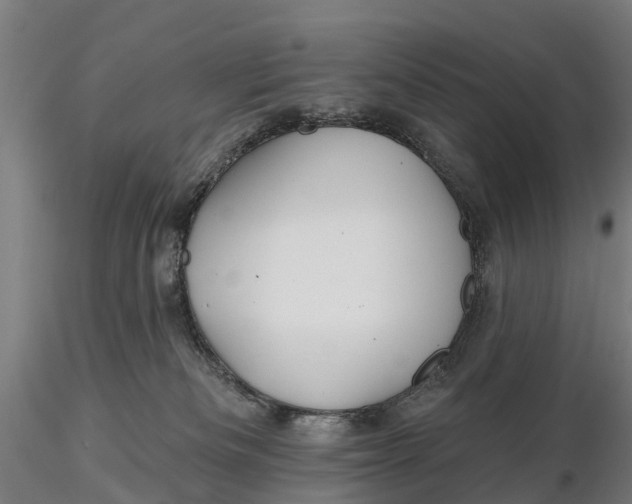 X0000115690133200912031451