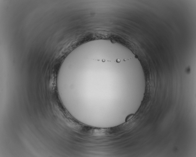 X0000115690134200912031451