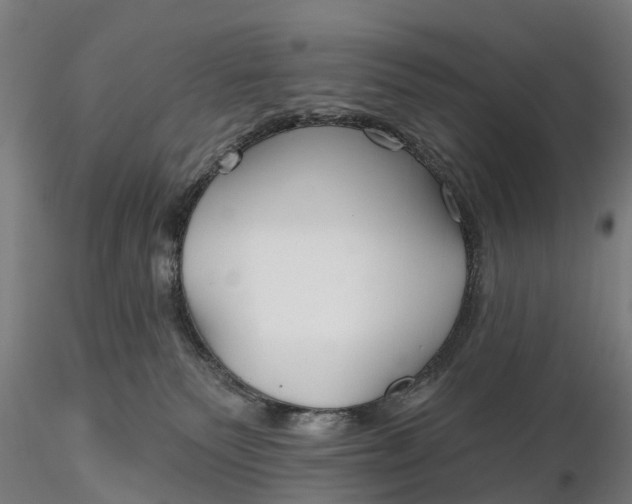 X0000115690135200912031451