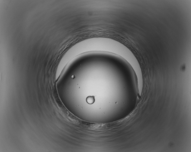 X0000115690136200912031451