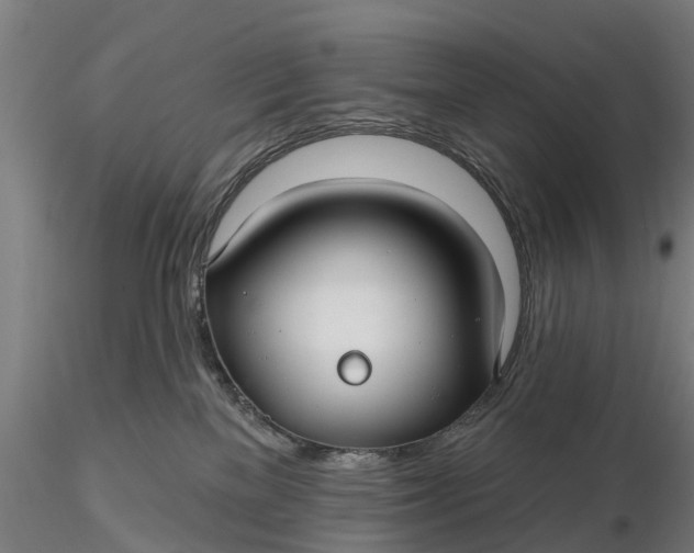 X0000115690137200912031451