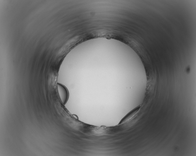 X0000115690142200912031451