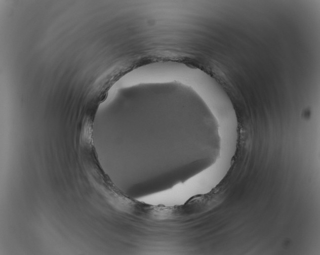 X0000115690143200912031451