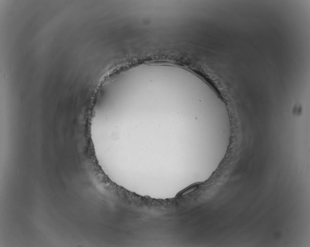 X0000115690144200912031451