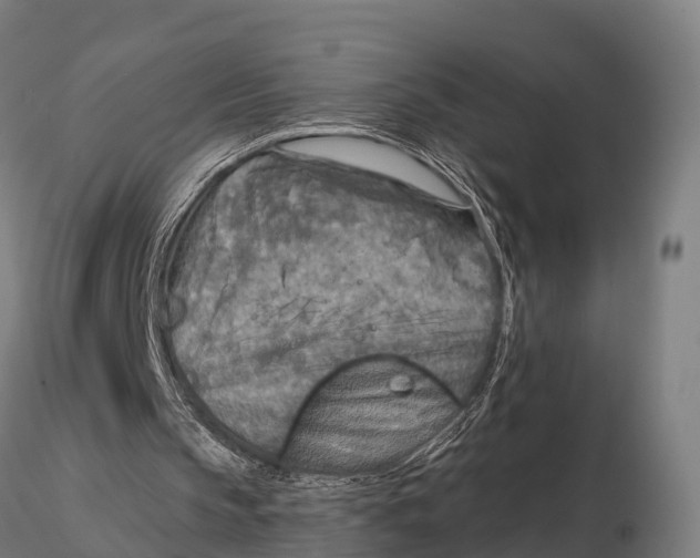 X0000115690145200912031450