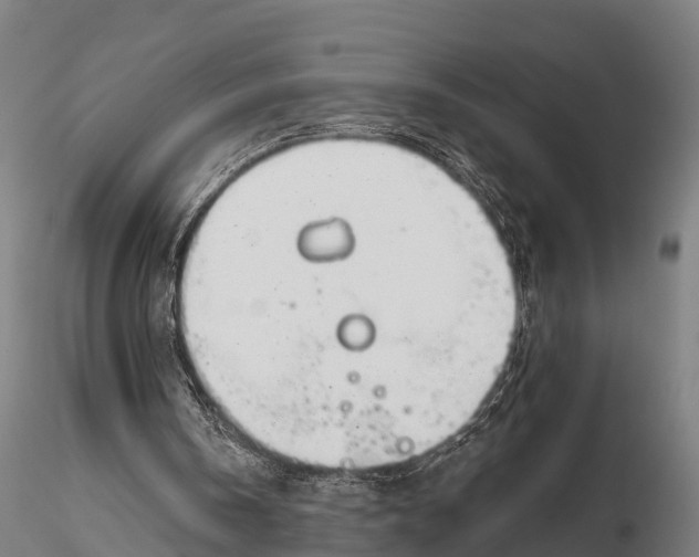 X0000115690146200912031450