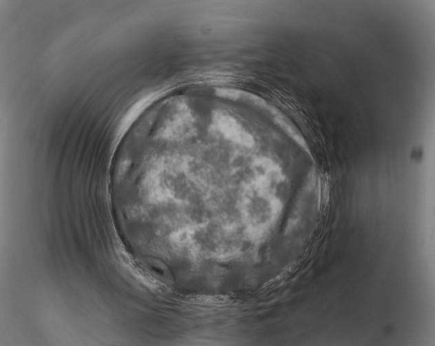 X0000115690147200912031450