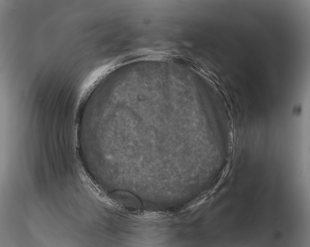 X0000115690149200912031450