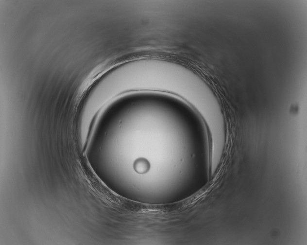 X0000115690150200912031450