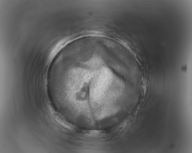 X0000115690151200912031450